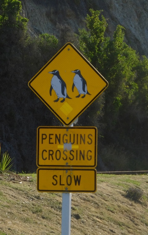 roadsign penguins crossing