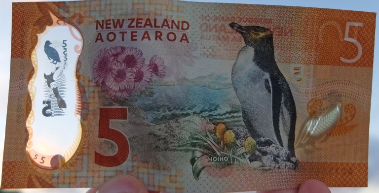 5 dollars NZ